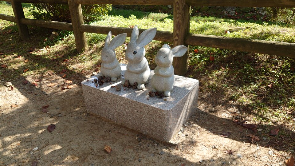 兔子神社